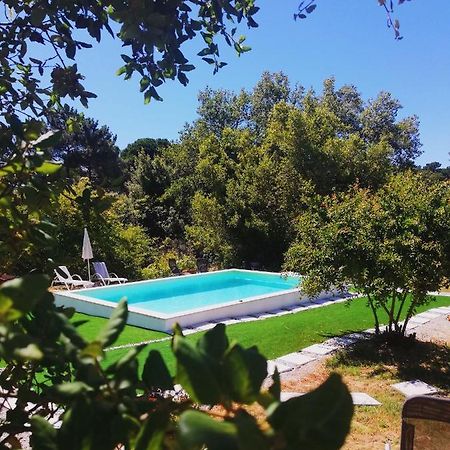 הוילה אלדיה דו מקו Quinta Do Marinheiro - Meco מראה חיצוני תמונה