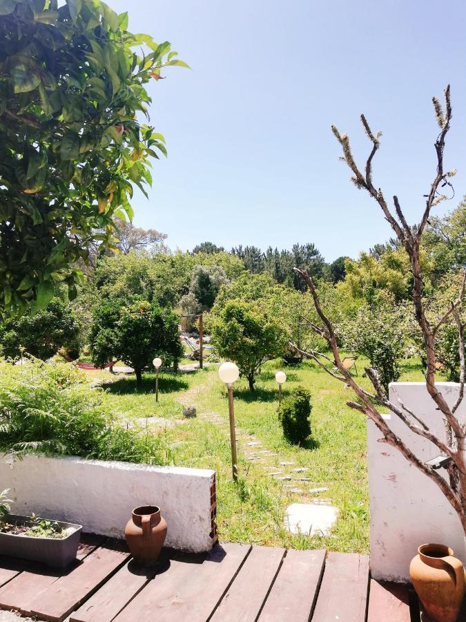 הוילה אלדיה דו מקו Quinta Do Marinheiro - Meco מראה חיצוני תמונה
